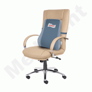 Amron Xamax Executive Backrest