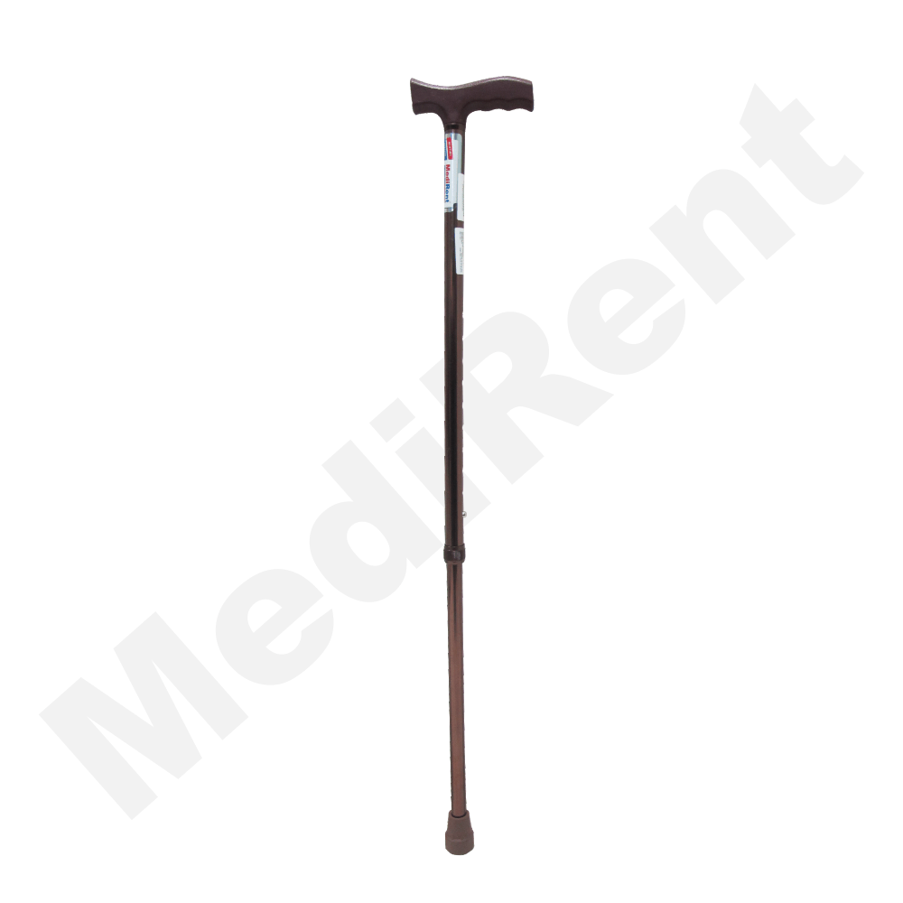 Walking Stick for Old Age